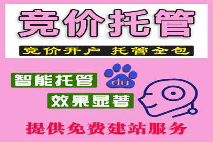 某企业SEM服务全流程解析及效果评估